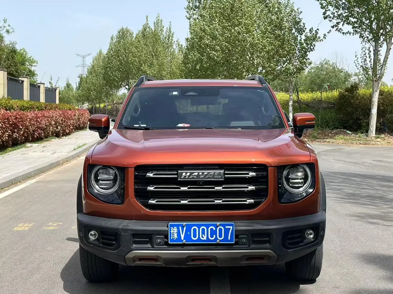 Haval Haval Big Dog 1.5T two-wheel drive horse dog-Wangcai Edition