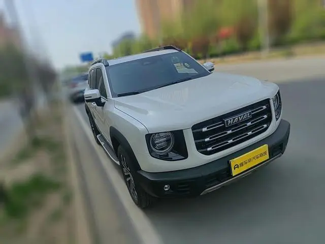 Haval Haval Big Dog 1.5T two-wheel drive horse and dog version