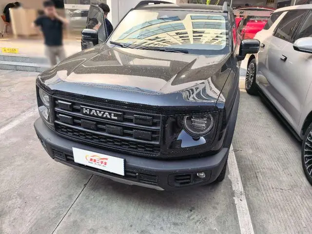 Haval Haval Big Dog 2.0T four-wheel drive Chinese Garden dog Version