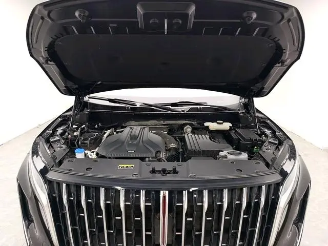 Hongqi Hongqi HS7 PHEV 2.0T four-wheel drive Qichang version 6 seats