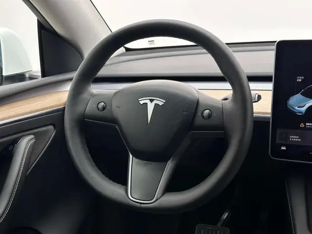 Tesla Model Y Long battery life all-wheel drive version