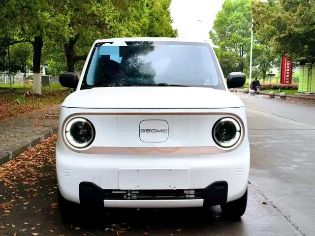 Geely Galaxy panda 120km panda mini super cute bear