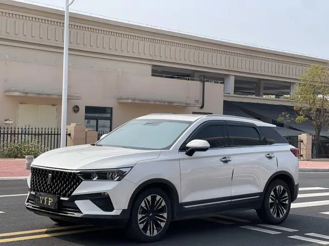 FAW Pentium T77 230 TID automatic luxury country VI