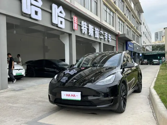 Tesla Model Y Long battery life all-wheel drive version