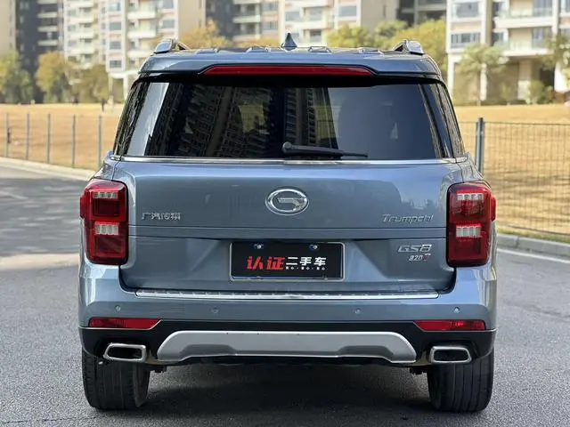 GAC Trumpchi GS8 320T two-wheel drive luxury Zhilian Edition 7 seats