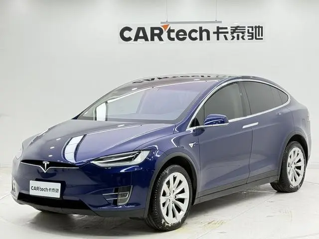 Tesla Model X 100D long battery life version