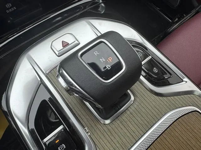 Hongqi Hongqi E-HS9 660km flag collar version four seats