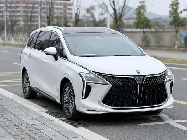 Dongfeng Fengxing Popular yachts 1.5T DCT Wave by Wave version