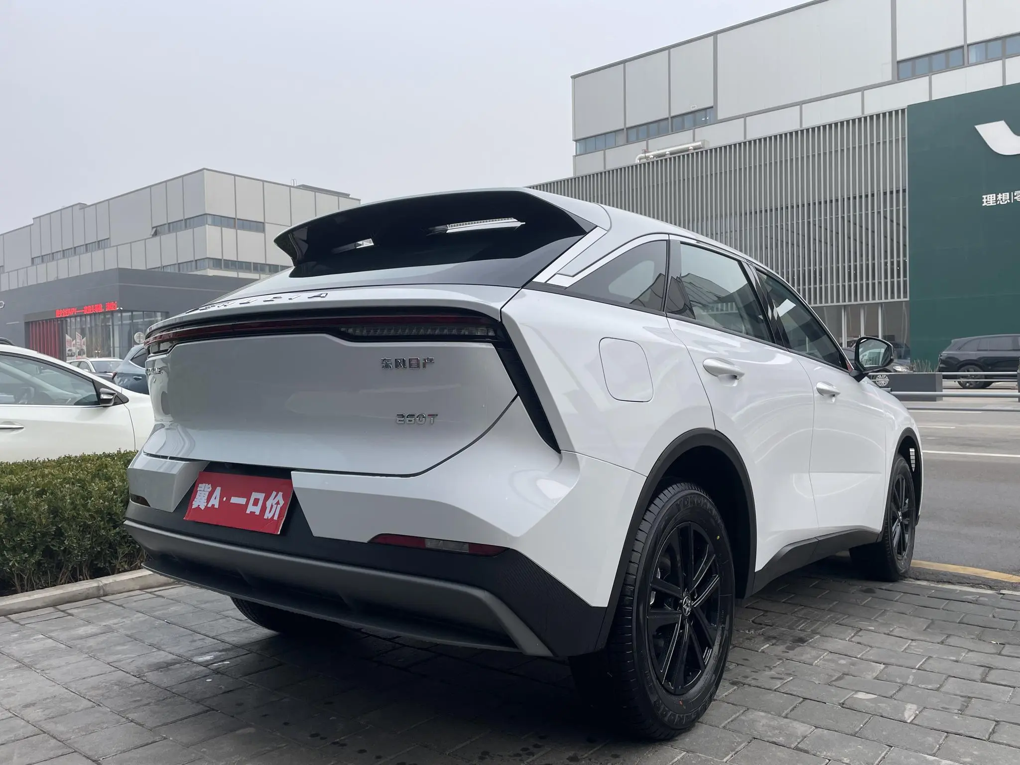 Venucia Qichen Big V 260T Nova Edition Pro