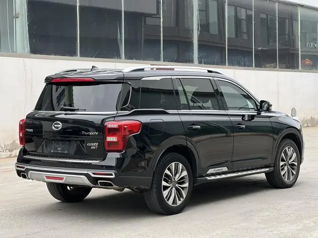 GAC Trumpchi GS8 320T two-wheel drive premium edition 7 seats