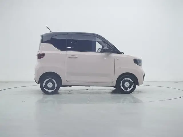 Wuling Wuling Hongguang MINIEV Macaron Premium Lithium Iron Phosphate