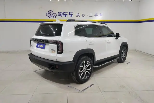 Haval Haval Big Dog 1.5T two-wheel drive Bianmu-Wangcai Edition