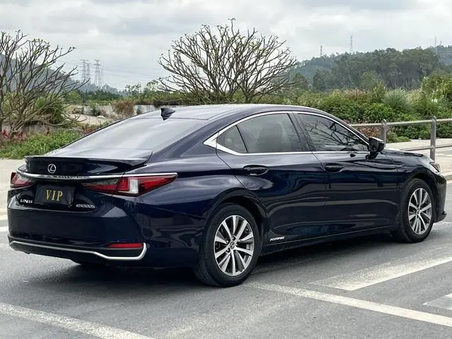 Lexus Lexus ES 300h Excellent Edition Country VI