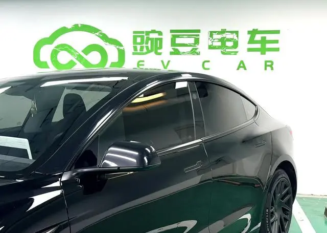 Tesla Model 3 Rear-wheel drive version