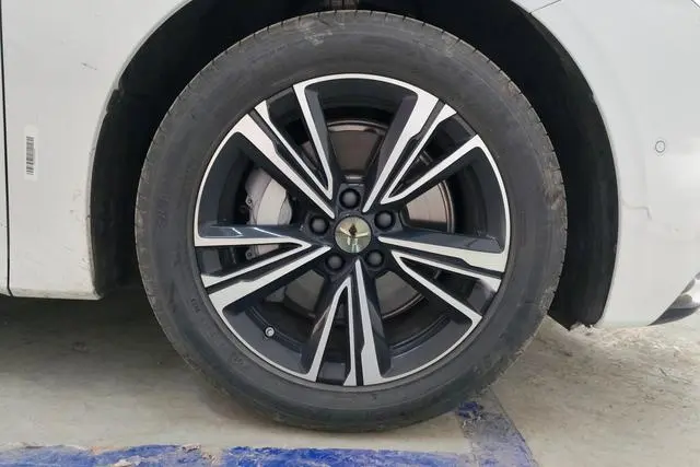 Hongqi Hongqi EH7 820 Pro