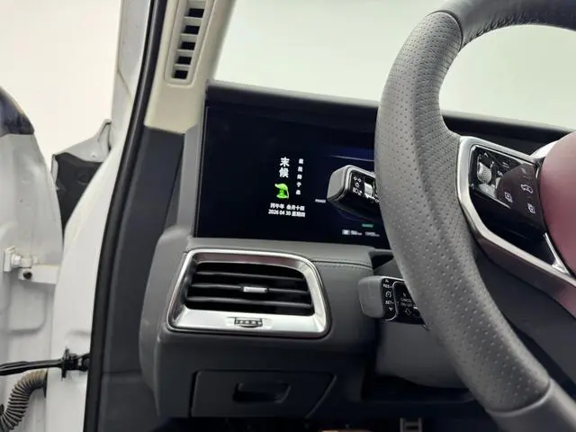 Hongqi Hongqi E-HS9 660km flag collar version four seats