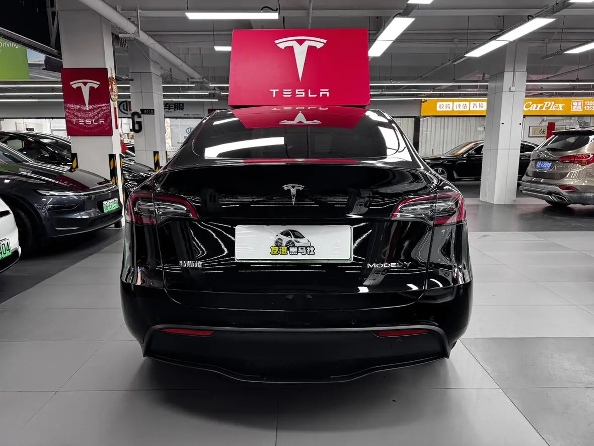 Tesla Model Y Long battery life all-wheel drive version