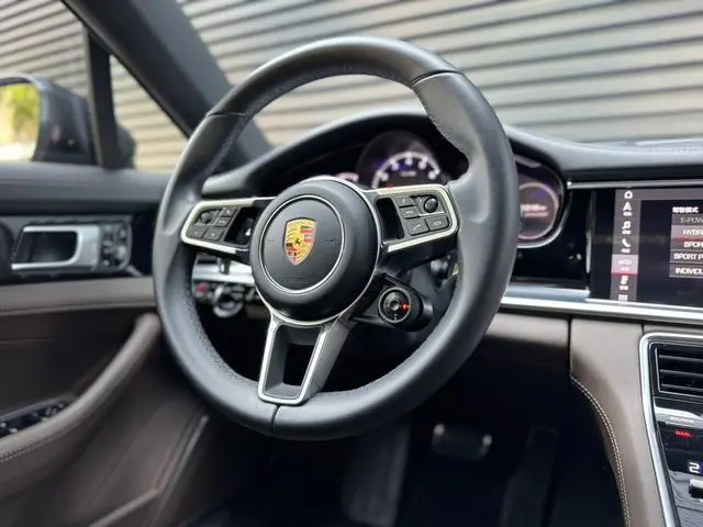 Porsche Panamera E-Hybrid Panamera 4 E-Hybrid 2.9T