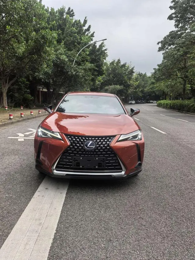 Lexus Lexus UX 260h Exploration*Cool Edition Country VI