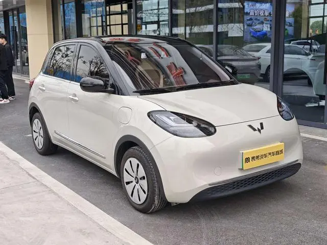 Wuling Wuling Bingguo 333KM Yuexiang model