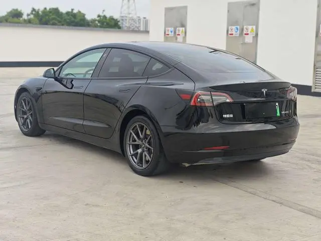Tesla Model 3 Standard battery life rear drive upgraded version 3D6