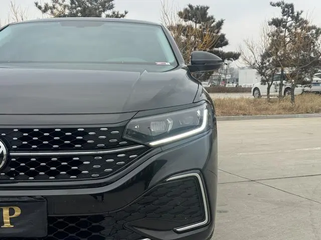 Volkswagen Passat Outstanding 380TSI Starry Sky Dragon Edition