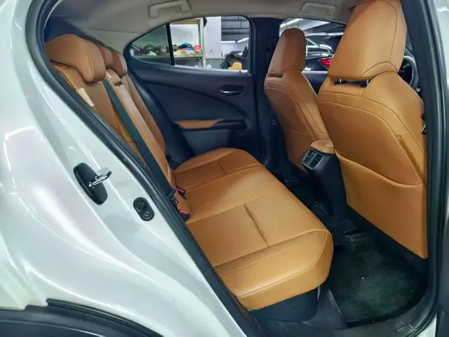 Lexus Lexus UX 260h Exploration*Cool Edition Country VI