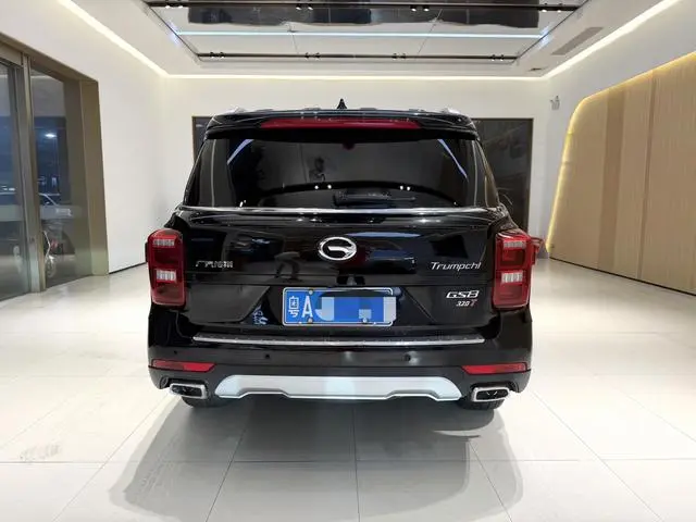 GAC Trumpchi GS8 320T two-wheel drive premium edition 7 seats