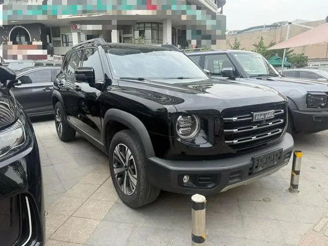 Haval Haval Big Dog 1.5T two-wheel drive side shepherd version