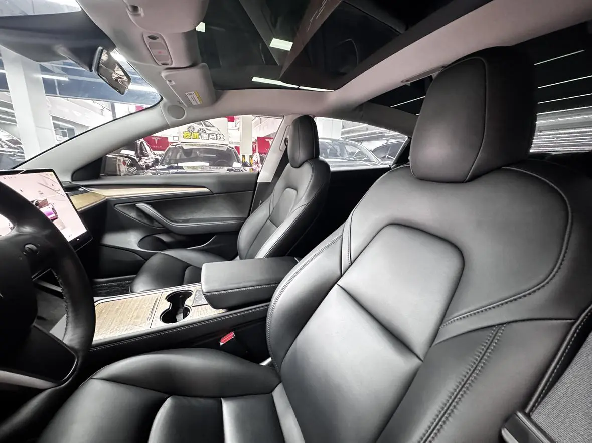 Tesla Model 3 Rear-wheel drive version