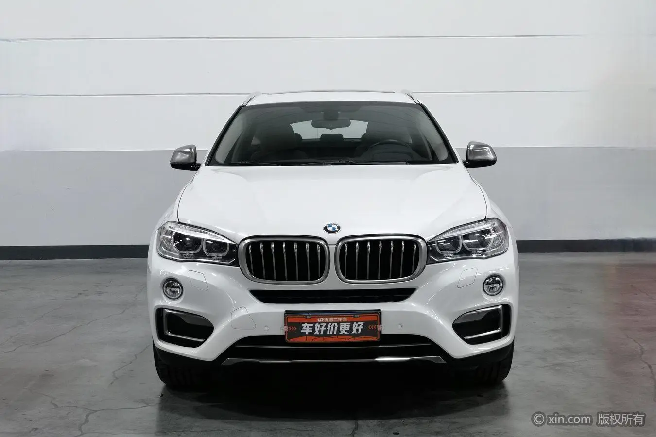 BMW BMW X6 xDrive35i leading type