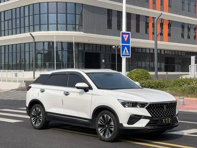 FAW Pentium T77 230 TID automatic luxury country VI