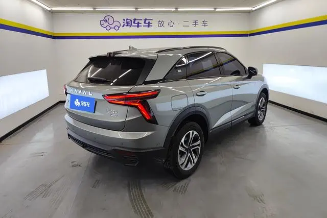 Haval Haval Xiaolong 1.5L 110km pilot version