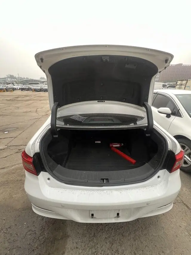 BYD Qin Yu Qin EV300 Honor Type
