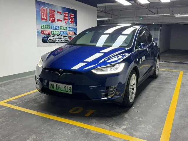 Tesla Model X 100D long battery life version