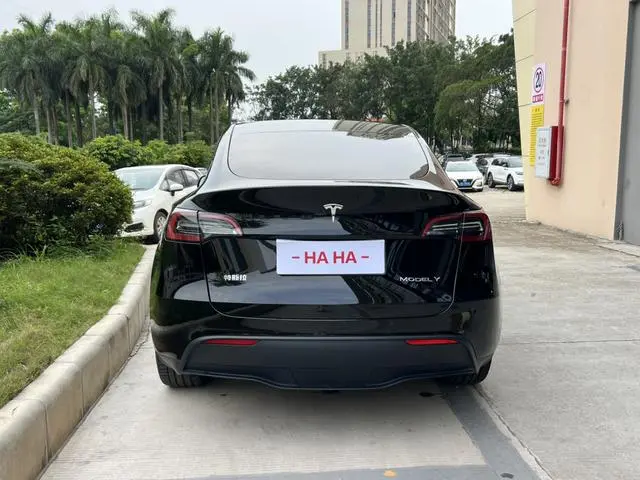 Tesla Model Y Long battery life all-wheel drive version
