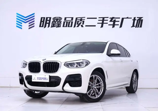 BMW BMW X4 xDrive25i M sports suit