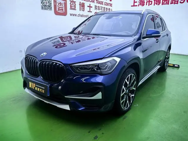 BMW BMW X1 xDrive25Li Exclusive type