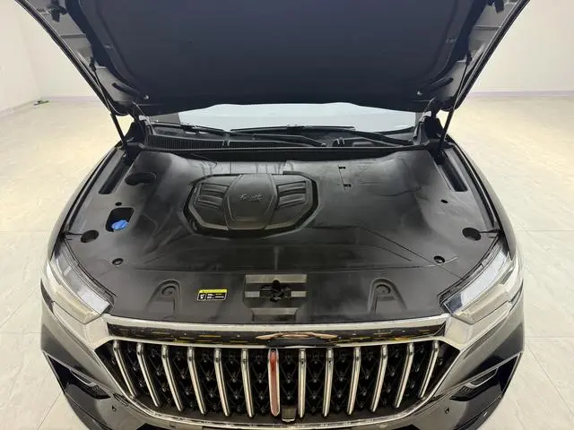 Hongqi Hongqi HS5 Facelift 2.0T Zhilian Flag Enjoy Edition