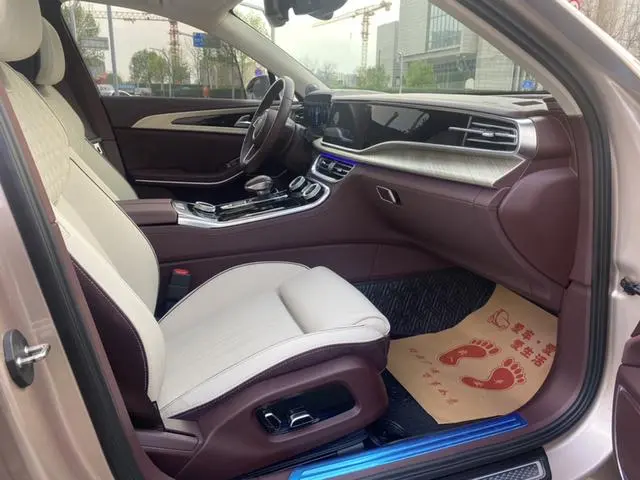 Hongqi Hongqi H9 3.0T Zhilian Qichang Version