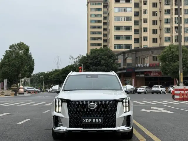 GAC Trumpchi GS8 Dual engine series 2.0TM hybrid two-wheel drive Premium Edition 7-seater