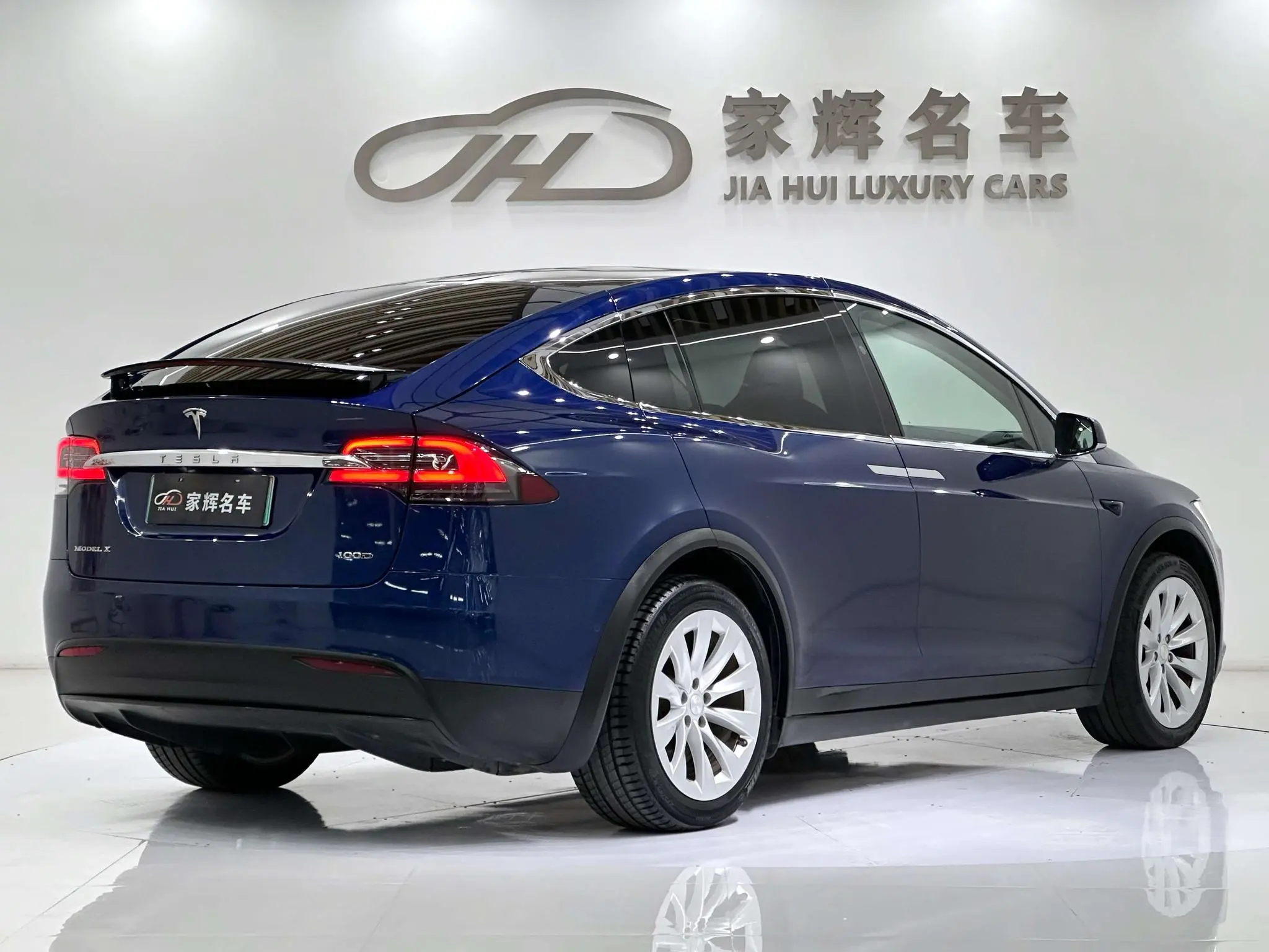 Tesla Model X 100D long battery life version