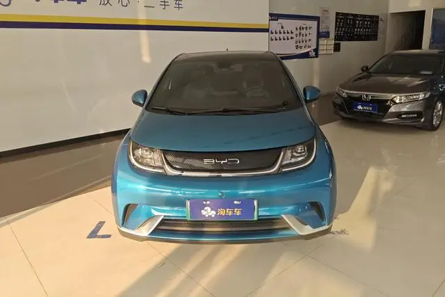 BYD dolphin Fashion edition