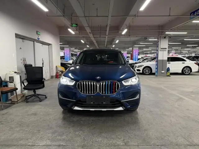 BMW BMW X1 xDrive25Li Exclusive type