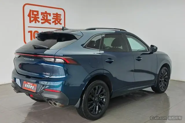 Dongfeng Fengxing Popular T5 EVO 1.5TD DCT Diamond Edition