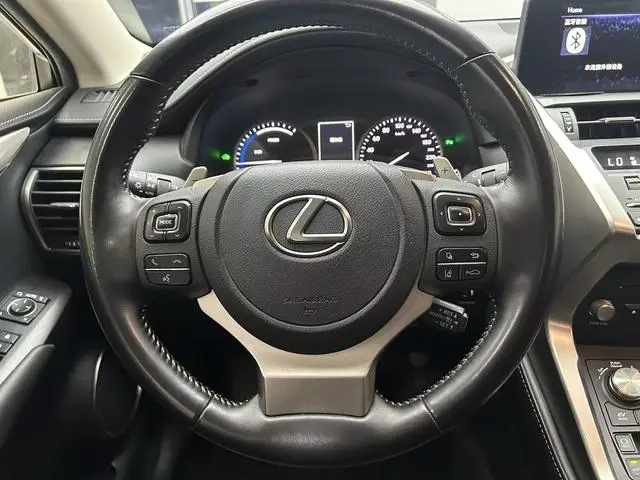 Lexus Lexus NX 300h front drive Fengshang version Country V
