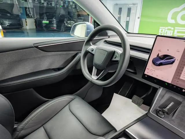 Tesla Model Y Rear-wheel drive version