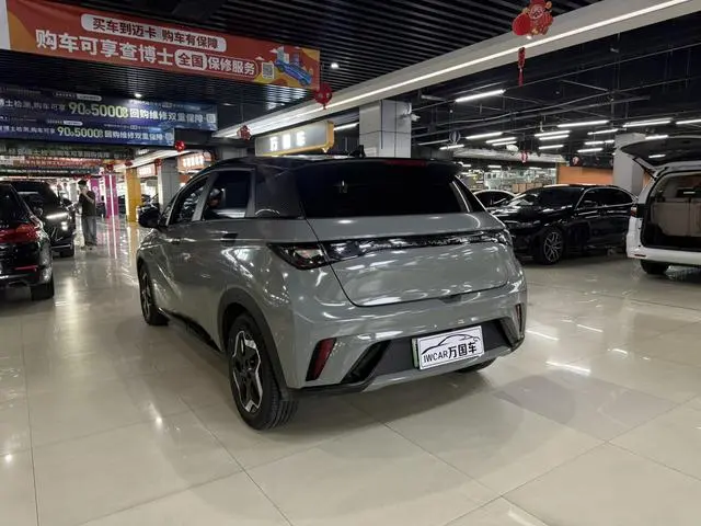 BYD dolphin Fashion edition
