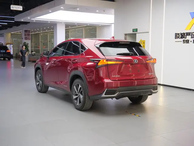 Lexus Lexus NX 300h full drive Fengzhi edition country VI