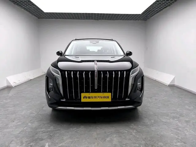 Hongqi Hongqi HS7 PHEV 2.0T four-wheel drive Qichang version 6 seats